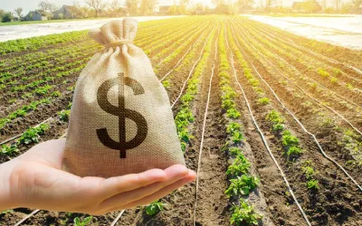 Tudo o que você precisa saber sobre LCA – Letra de Crédito do Agronegócio 🌾💰
